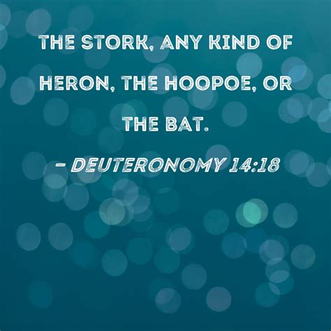 Deuteronomy 14:18 the stork, any kind of heron, the hoopoe, or the bat.