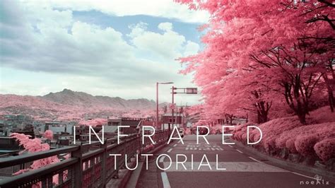 Image result for Infrared Photography Tutorial