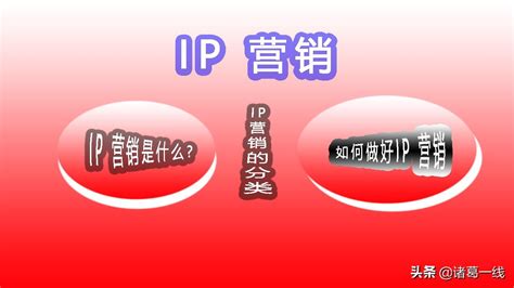 什么是ip形象（中国比较成功的ip形象案例）-小资社