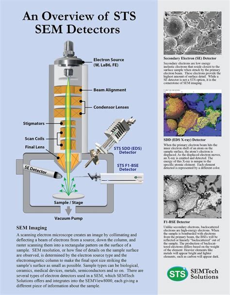 Image result for How Does a Scanning Electron Microscope Work Cochell