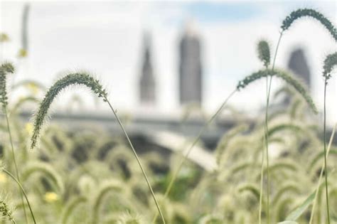 Cleveland, Where Love Blooms in Winter: A Quirky Guide to Romantic ...