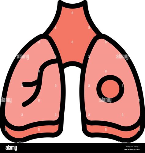 Lungs mri image icon outline vector. Xray machine. Anatomy body color flat Stock Vector Image ...
