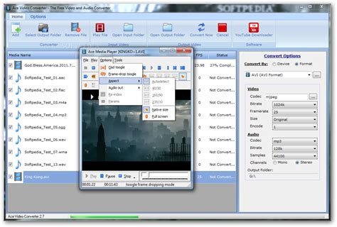 Convert Video Format Input Ace 的图像结果