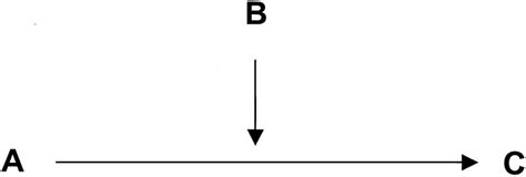 Moderator Variables That Could Change the Relationship Examples 的图像结果