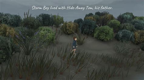 Storm Boy è un'avventura tratta dall'omonimo racconto per bambini del 1964