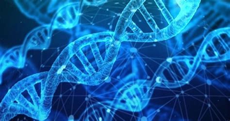 Medical Labs in Calicut | Advanced Laboratories in Calicut