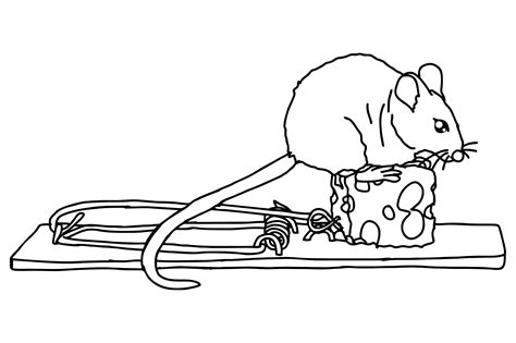 Image result for Exploding Mouse Trap