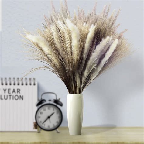 Buy LEEJGEN Pumpus Grass Dried Pampas Grass Bouquet Pamas Grass Pampuus ...