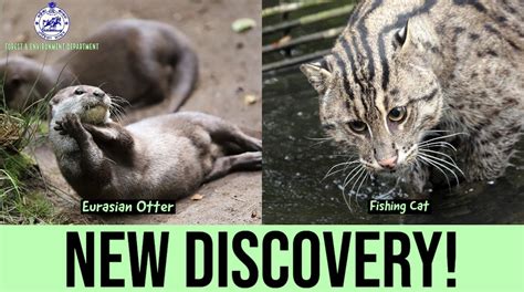 March 30, 2020 – SANDRP