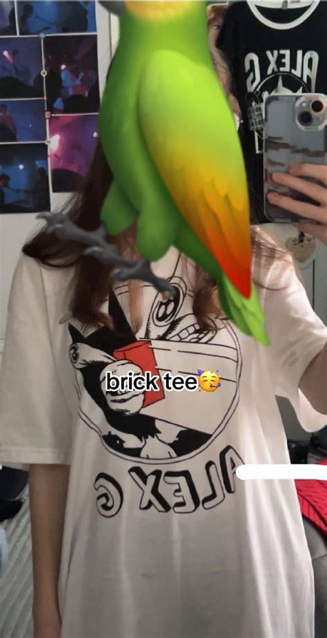 Image result for Sandy Alex G Merch