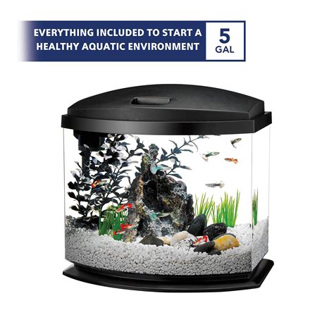 Cleaning Fish For 5 Gallon Tank at Timothy Trimble blog