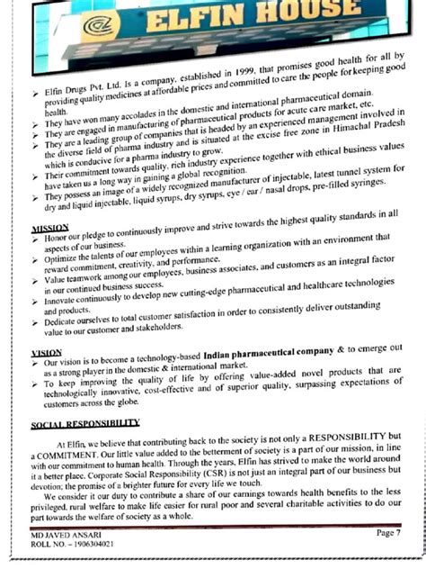 Training Report Examples 的图像结果