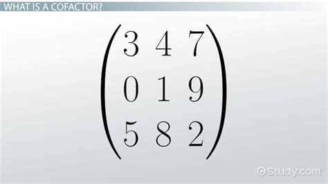 Image result for Cofactor Matrix