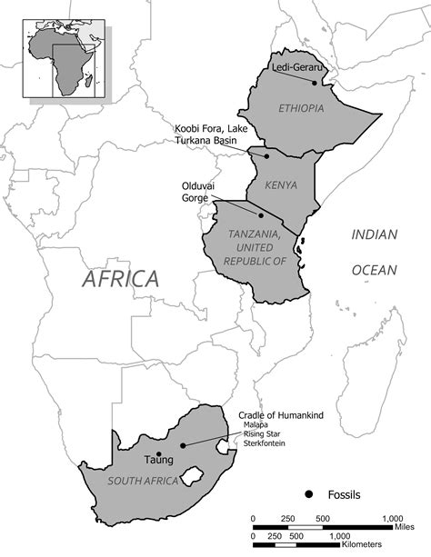 10.3: Homo Habilis - The Earliest Members of Our Genus - Social Sci LibreTexts