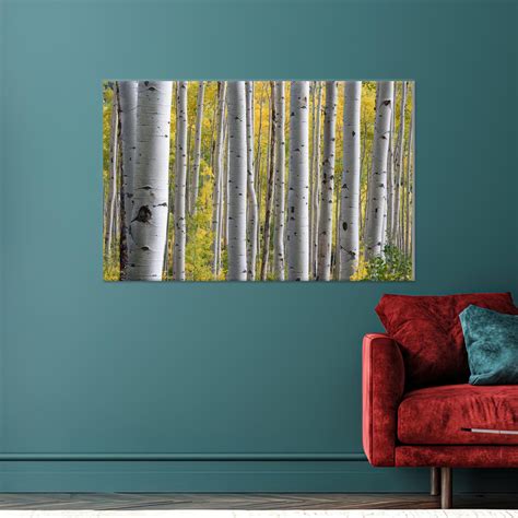 kayra export Large 3D Canvas Tree Landscape Art Featuring a Birch Grove ...