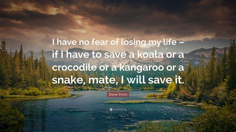 Steve Irwin Quote: “I have no fear of losing my life – if I have to ...
