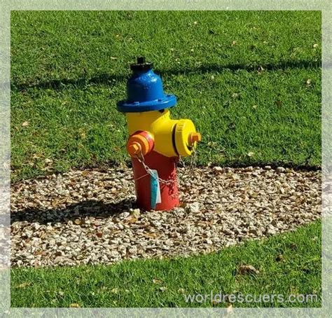 Image result for Hydrant Color Coding
