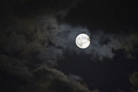 Full moon in zodiac signs meaning 60 photos - Youhoroscope.com