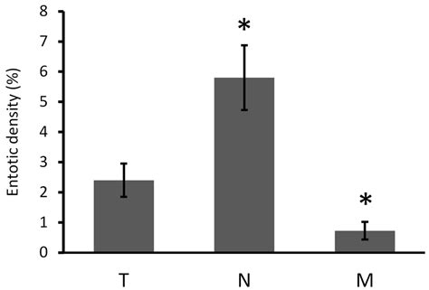 Fate of Entosis: From the Beginning to the End in Untreated Advanced ...
