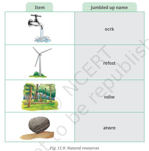 Class 6 Science Lesson 11 的图像结果
