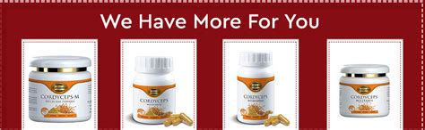 Cordy Gold Cordyceps Mycelium Capsules 500 mg (30) : Amazon.in: Health ...