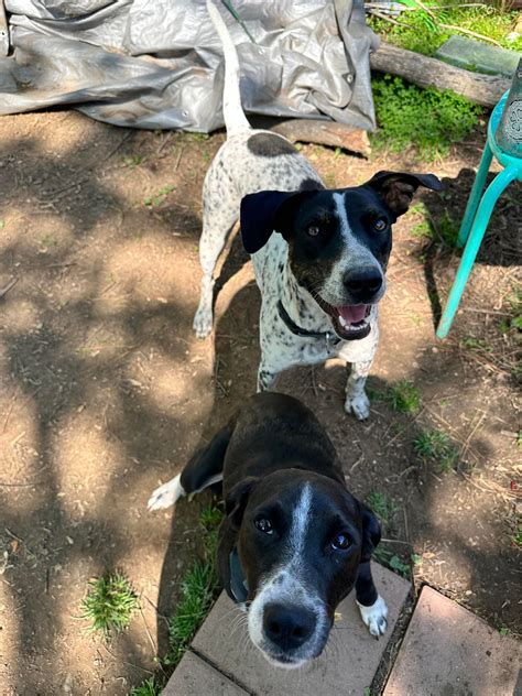 This is Clover. We think she has the best smiles. She is our 10 months ...