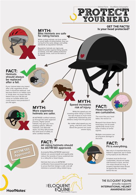 What Is The Best Horse Riding Helmet On The Market In 2026?