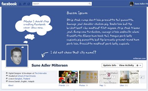 Image result for Facebook Timeline Sample