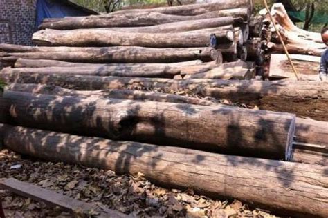 当地限制木制品出售后，尼泊尔的家具和木材进口量激增_木材之家