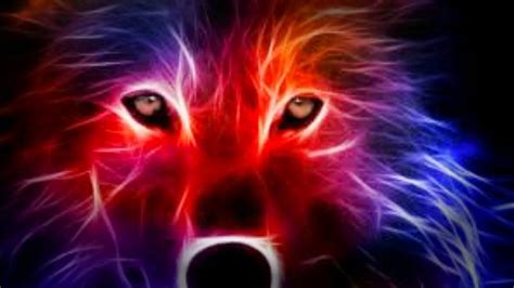 Image result for O2 Live Stream