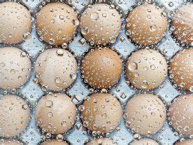Here Are 5 Things to Know About Freezing Your Eggs | Freezing your eggs ...