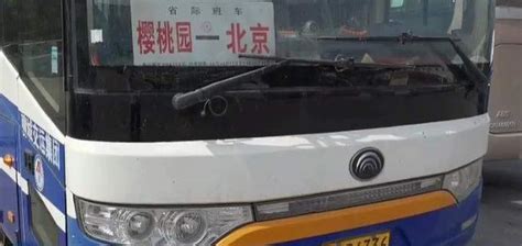 海拉尔至满归大客车定于4月7日恢复通车_金河_发车_时间