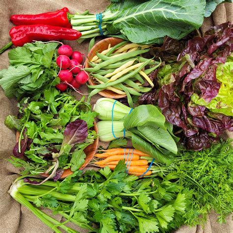 Farm Fresh Organics 的图像结果