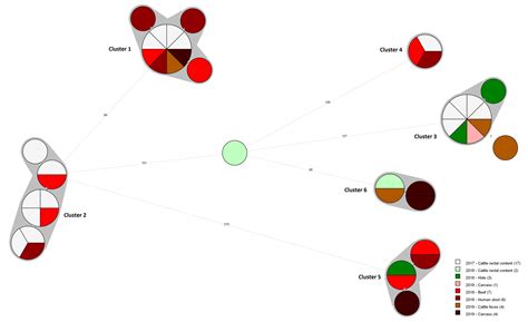 Core Genome Sequencing Analysis of E. coli O157:H7 Unravelling Genetic ...