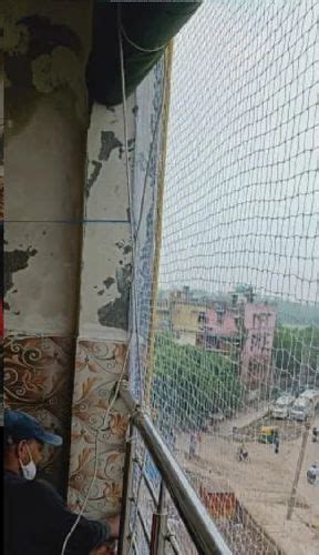 Bird Protection Netting - Residential Anti Bird Netting Manufacturer ...