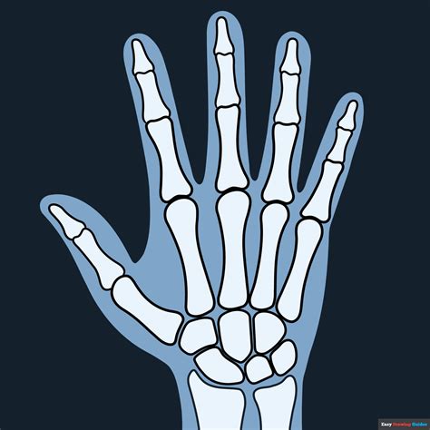 Drawing Of Xray