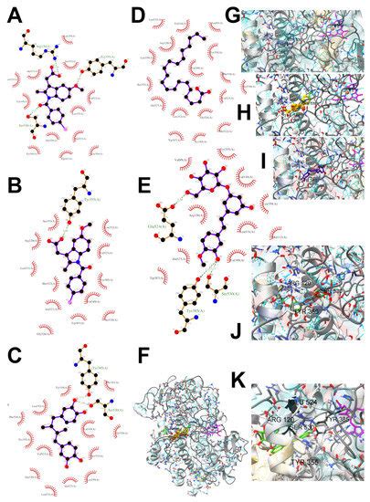 Rheum rhaponticum and Rheum rhabarbarum Extracts as Modulators of ...