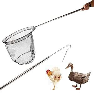 Animal Catch Net Pole Trap Tool Chicken Catcher Leg Hook Catching Kit ...