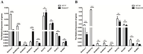 CRISPR Disruption of BmOvo Resulted in the Failure of Emergence and ...