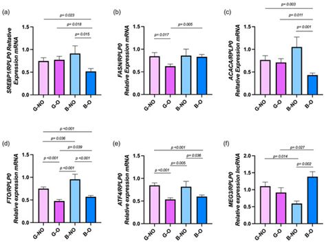 Altered Expression of the MEG3, FTO, ATF4, and Lipogenic Genes in PBMCs ...