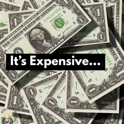 It’s Expensive: The Costly Price of Being You, Saving You, and Praising ...
