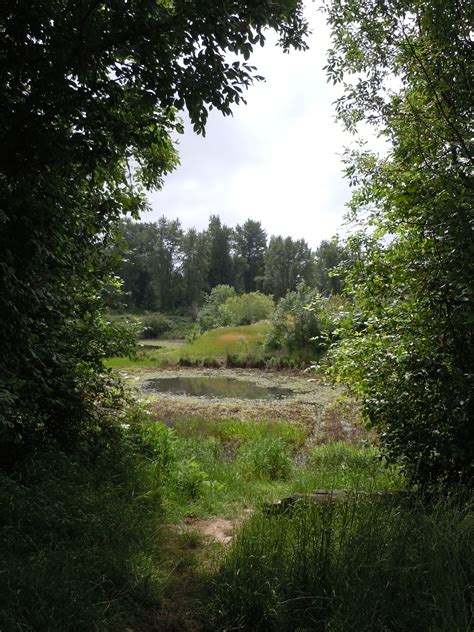 Keizer Rapids Park, Oregon. | Country roads, Oregon, Rapids