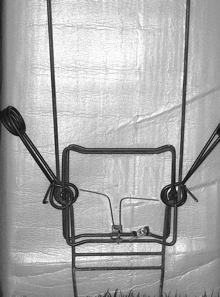 Compass Trapping Set 的图像结果