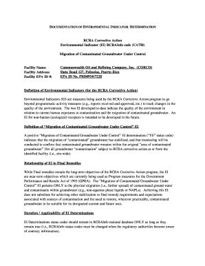 Fillable Online epa Documentation of Environmental Indicator ...