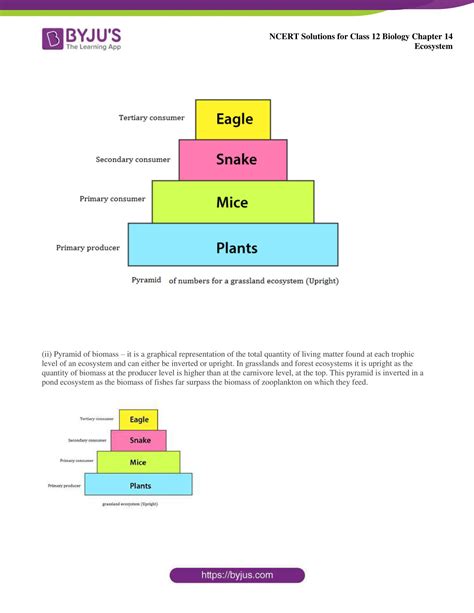 Image result for Ecosystem Structure and Function 12 NCERT