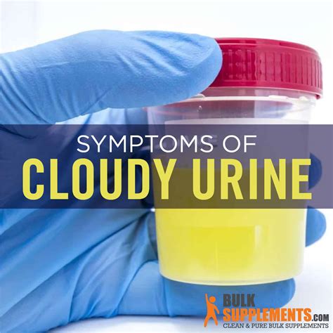 Cloudy Urine