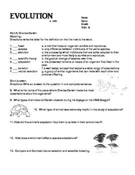 Evolution Level Class 7 的图像结果