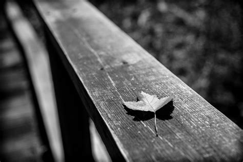 Lake Shaftsbury State Park, a Vermont State Park located near ...