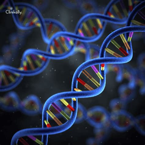 Preventive DNA Testing for Optimal Skin and Hair Care | Clinkally