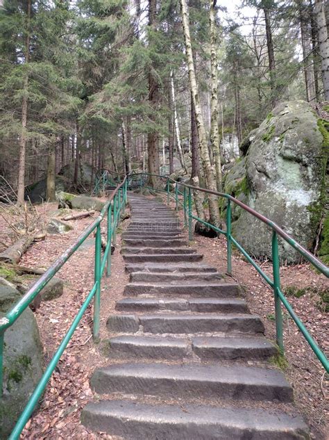 Image result for Natural Stone Path